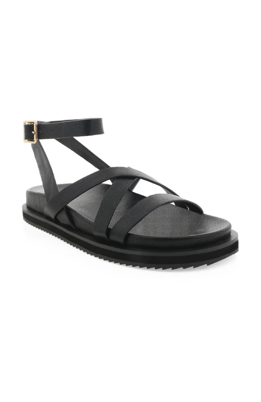 Tulsi Sandal