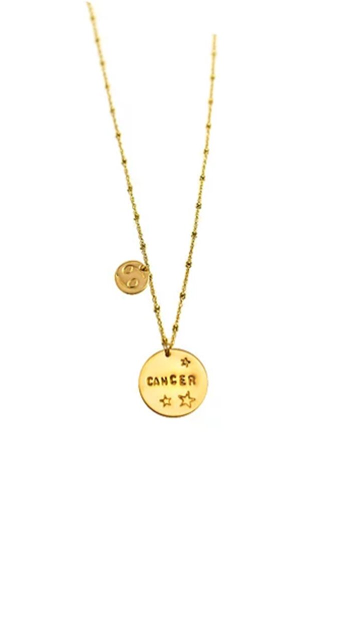 Written In The Stars Zodiac Necklace - Gold Filled